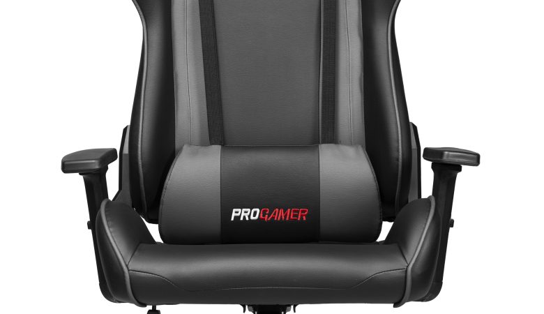 Progamer Oyuncu Koltuğu 14