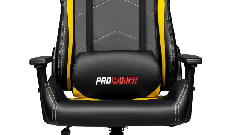 Progamer Oyuncu Koltuğu 9