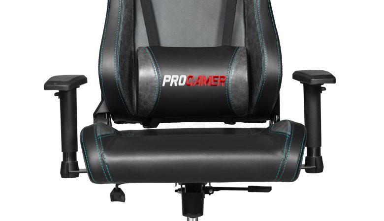 Progamer Oyuncu Koltuğu 19