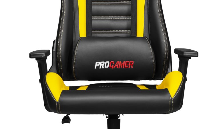 Progamer Oyuncu Koltuğu 10