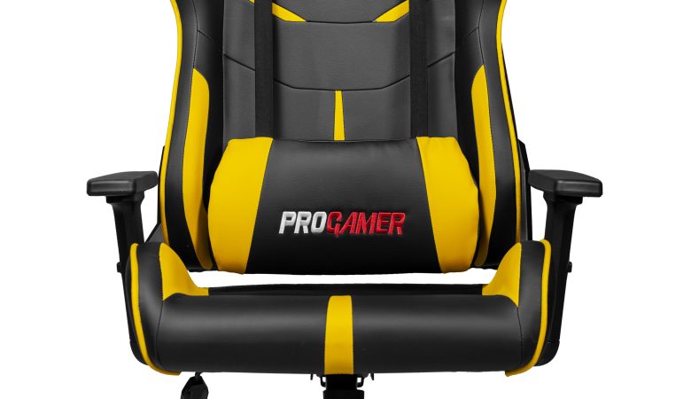 Progamer Oyuncu Koltuğu 12